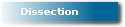 Dissection
