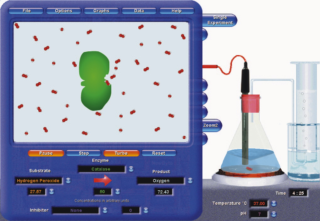 enzyme-lab-version-6-the-logical-interface-science-laboratory
