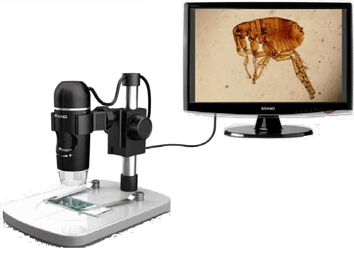 microscope