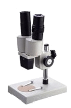 Stereo Microscope for Kids