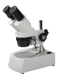 Stereo Microscope for Kids